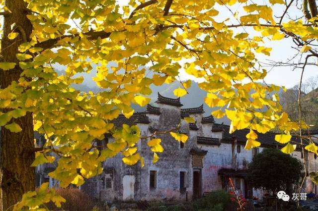 timg (2).jpg timg (2).jpg